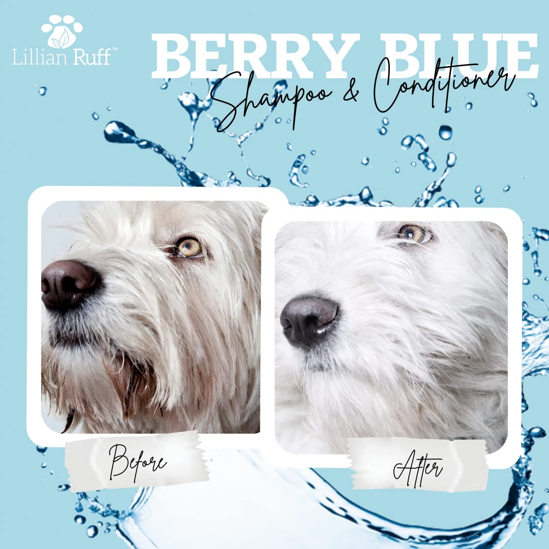 Buy Lillian Ruff Berry Blue Brightening Face and Body Shampoo