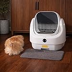 Review Image by Shireen Kabani Shireen Kabani