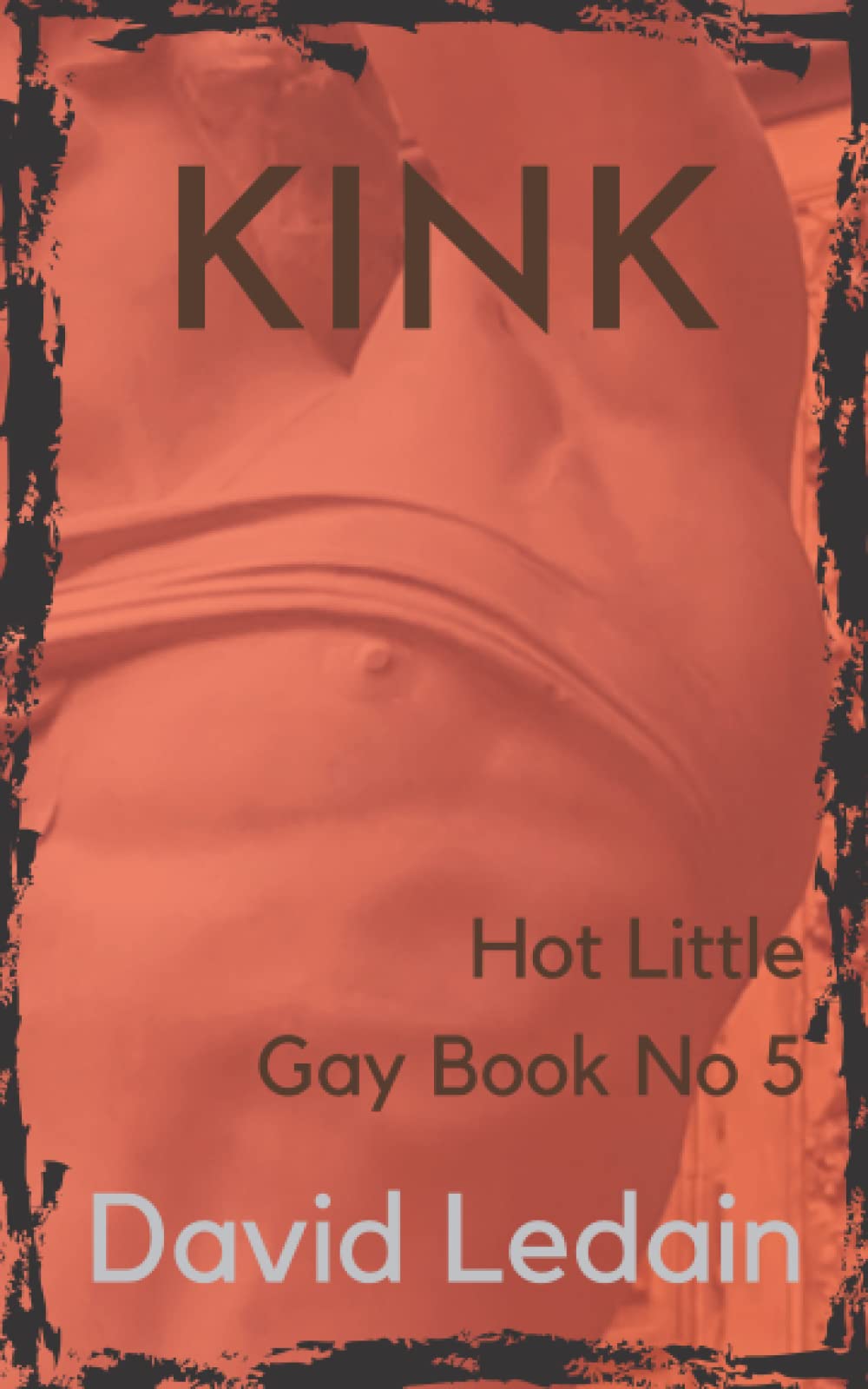 Hot Little Gay Book No 5: Kink
