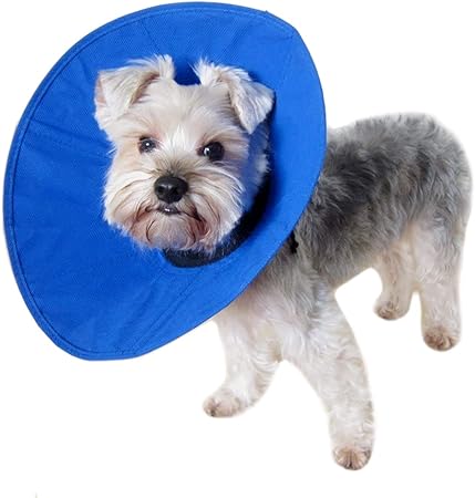 Fabric dog cone Clearance