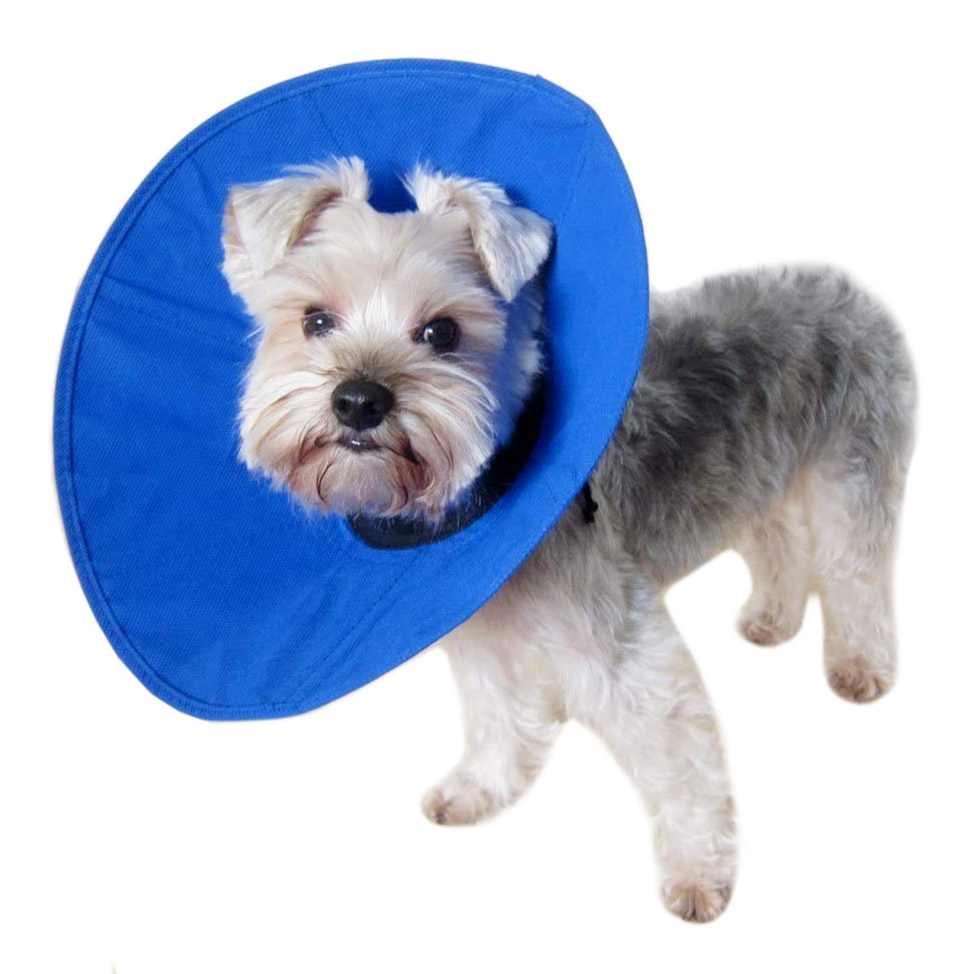 padded dog cone collar