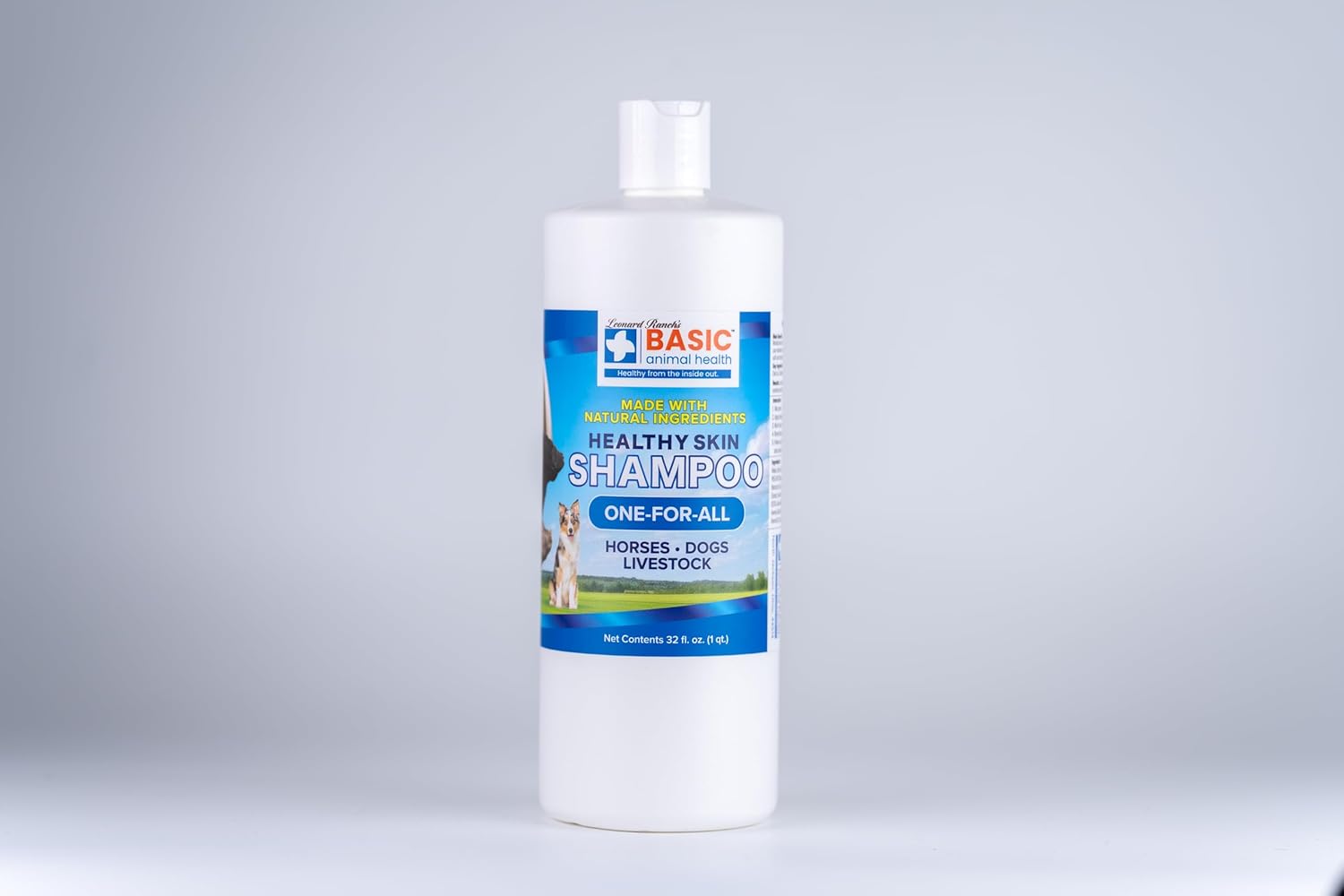 Healthy Skin Oatmeal Shampoo