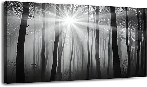 30"x 60" Canvas Wall Art Nature Vintage Glowing Black White Botanical Glam Sunlight Forest Framed Pictures Painting Prints Large Wall Art for Living