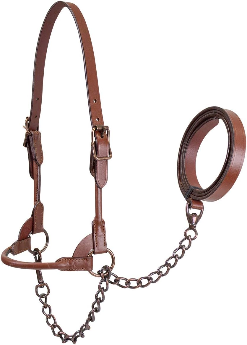 Derby Originals Bronze Beauty Premium Round Rolled Leather Cattle Show Halter with Matching Chain Lead