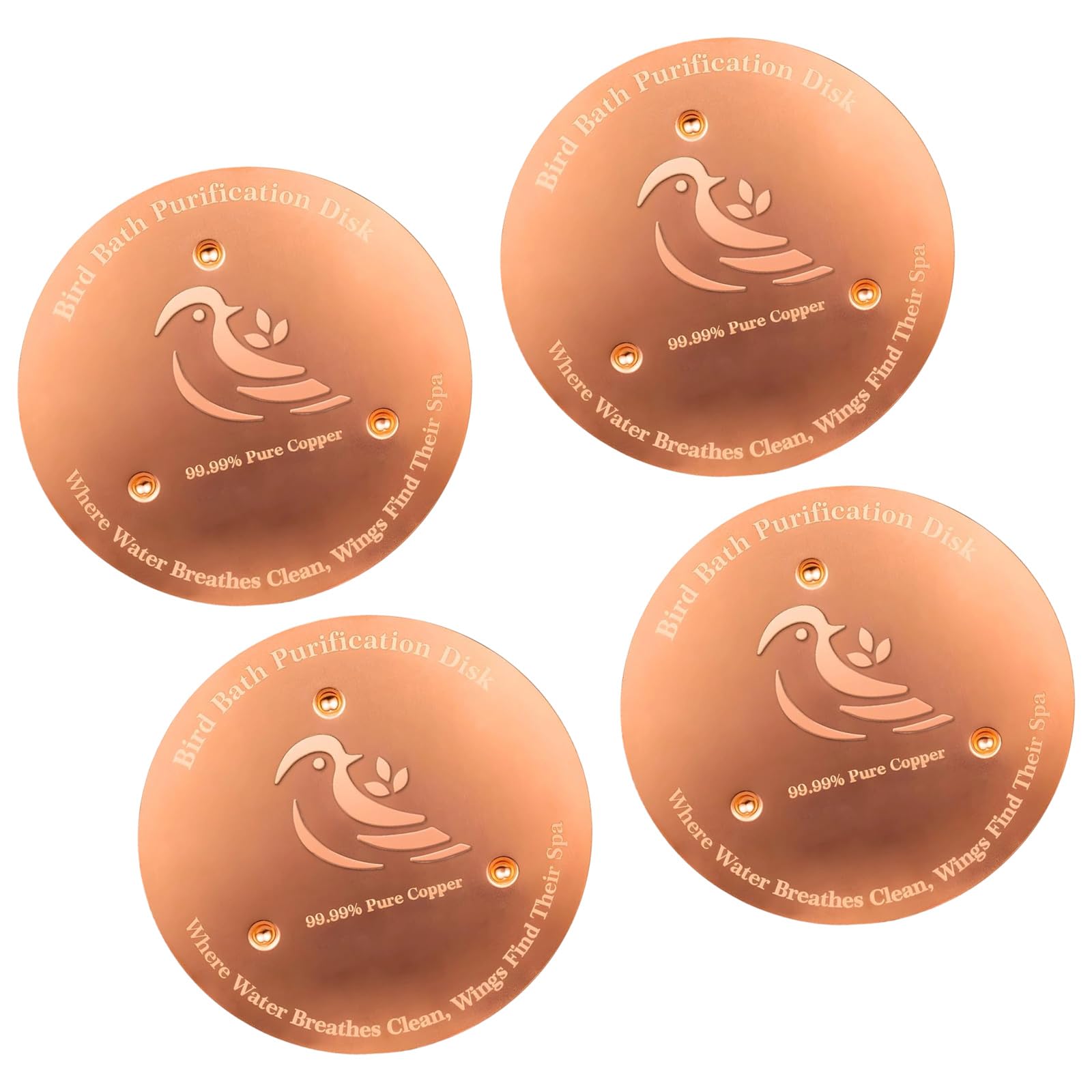 Outil d'entretien pour bol d'eau et bains d'oiseaux avec disques fins 0,6 mm