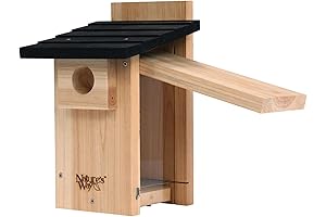 Nature's Way Bird Products CWH4 Cedar Bluebird Nesting Box with Built-In Viewing Window