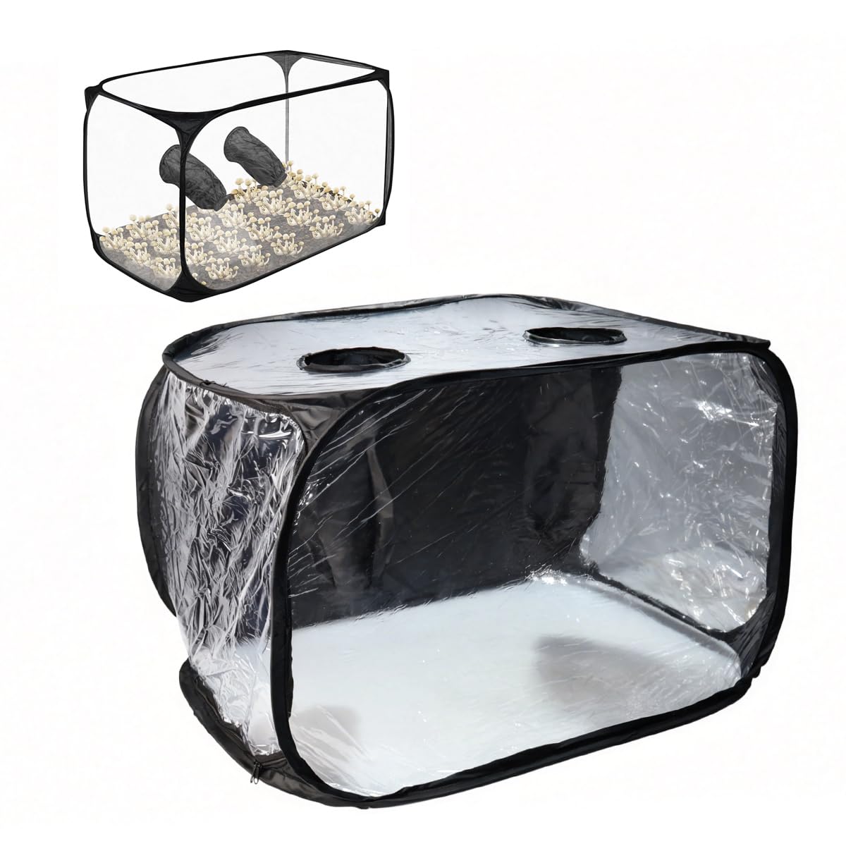 Sarini Mushroom Cultivation Still Air Box - Faltbare Transparente Pilz Wachsen Zelt Kit, Growing Kit Box Mit Handschuhen, Portable Grow Bag (90 X 60 X 60CM)