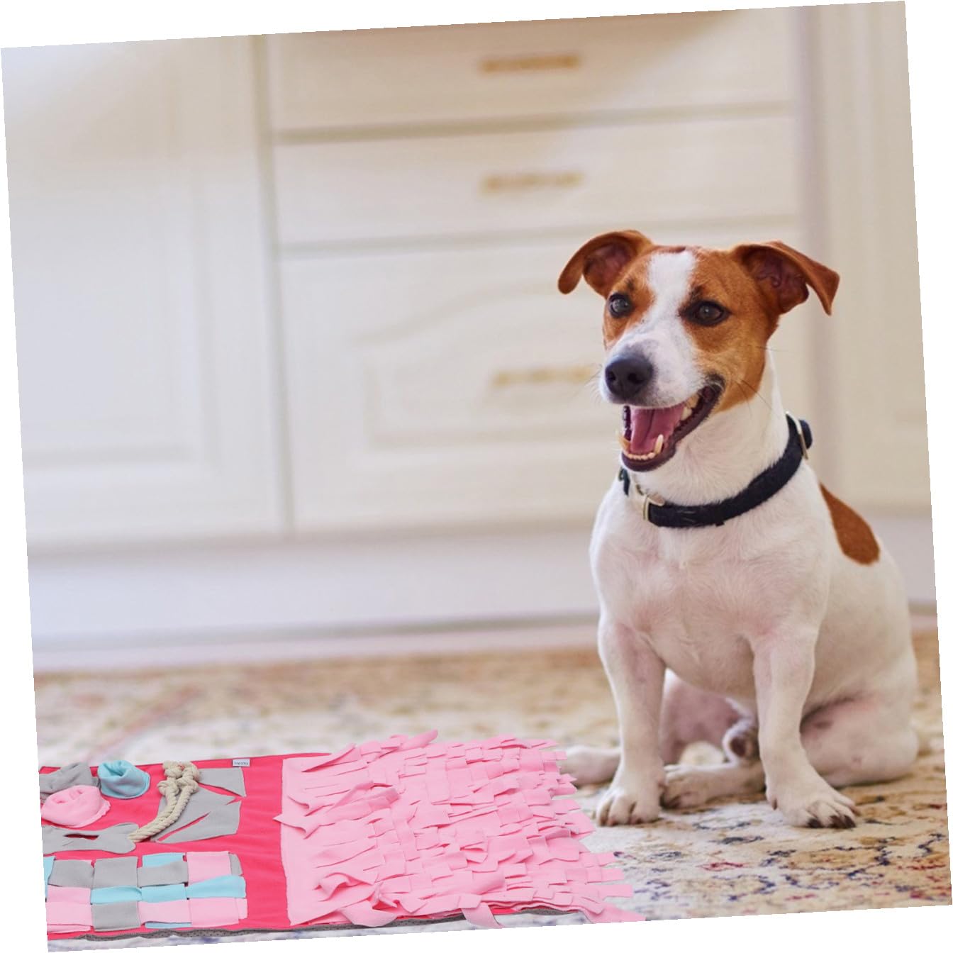 Tappeto Gioco per Cani da Annusare, Alimentazione Lenta 1 Pz | Rosa, per Casa, Adatto a Cane e Animale Domestico, Formato Compatto per Training e Uso Multiuso