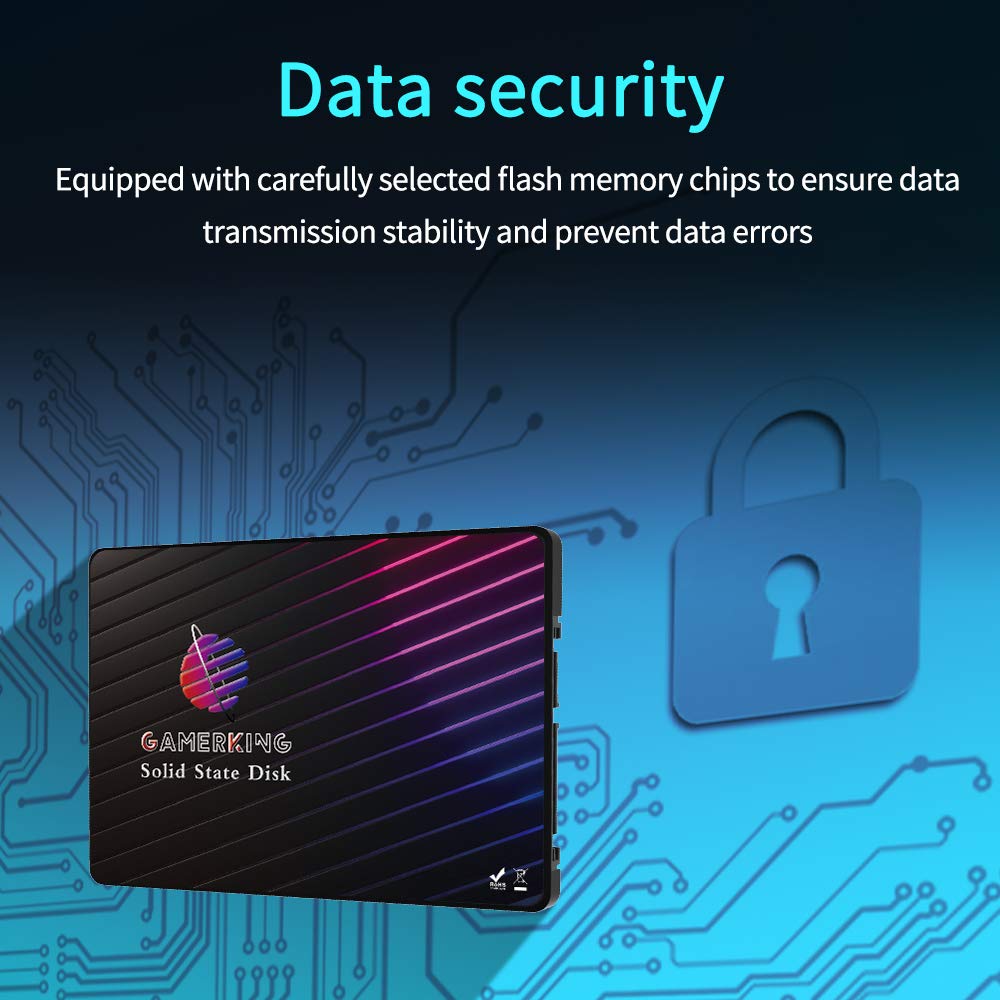 GamerKing MSATA SSD 500GB Interno Allo Stato Solido Drive Desktop (O6E