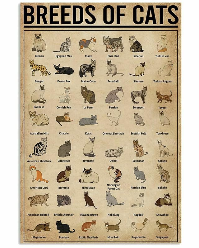 12"x8" Breeds Of Cats Knowledge Multisize Poster Great Gift For Cat Lover Metal Sign Tin Sign Wall Art for Men Home Bathroom