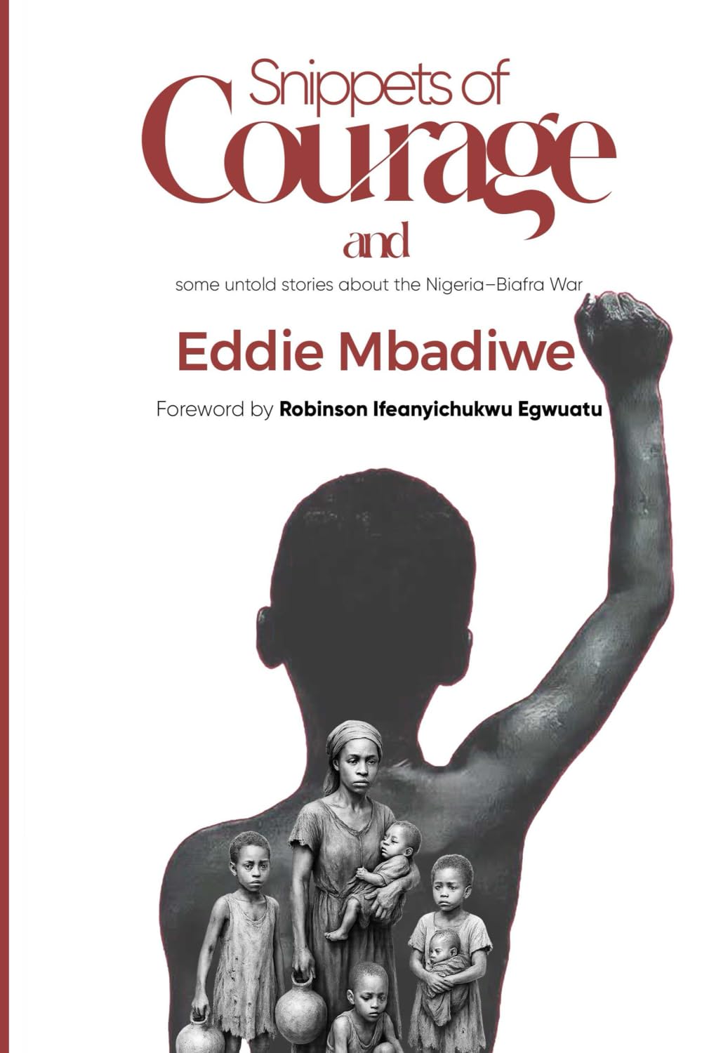 Snippets of Courage and some untold stories of the Nigeria–Biafra War