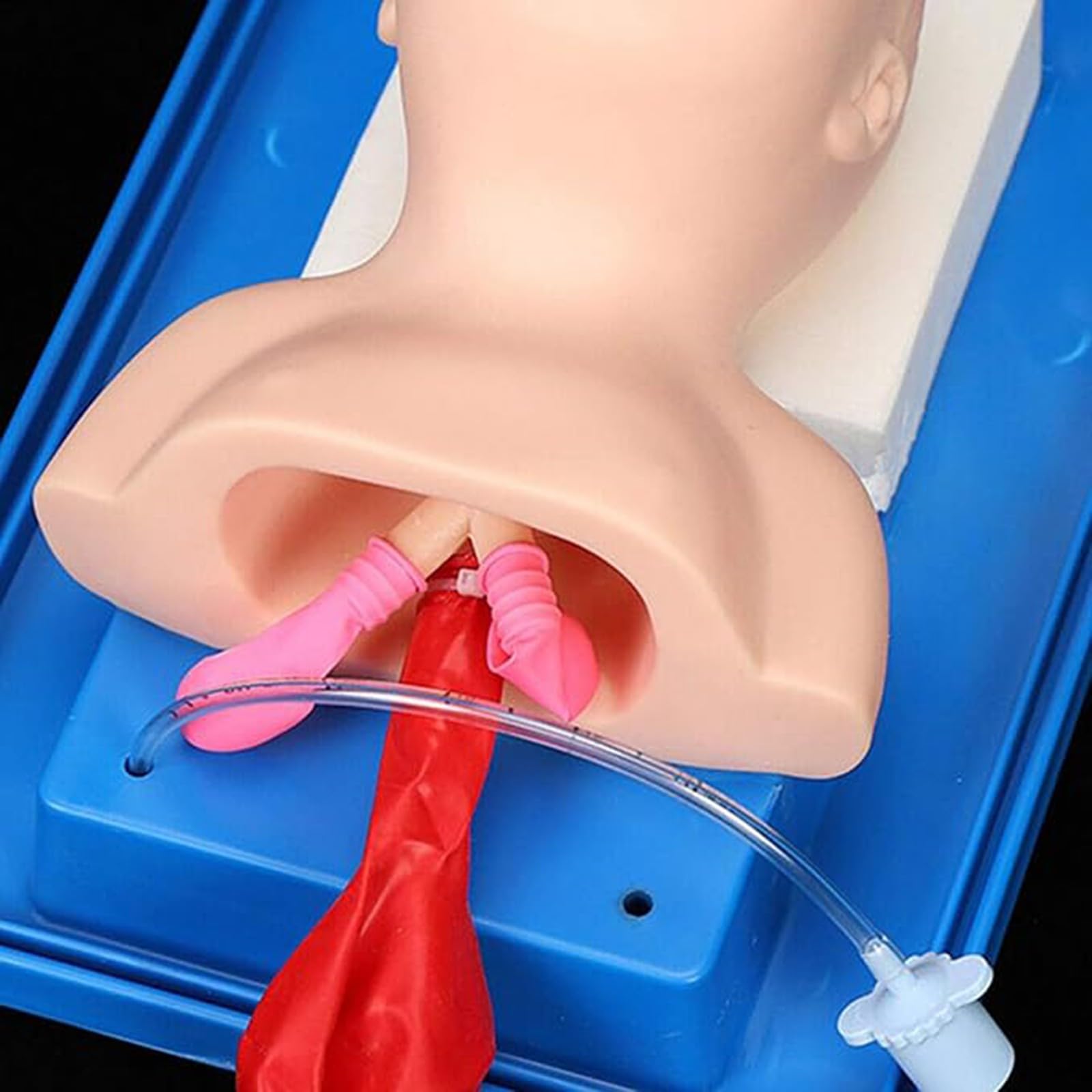 Mannequin d'intubation, simulateur de gestion des voies aériennes, intubation endotrachéale par PVC, pour l'enseignement en laboratoire, formation infirmière et médicale A