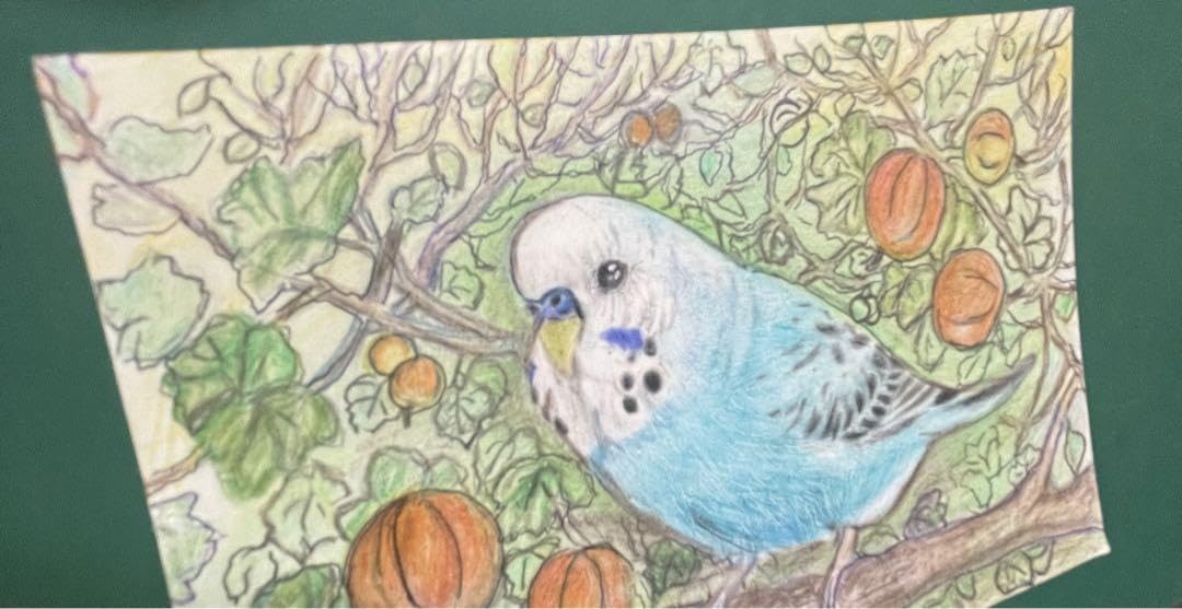 Amazon.co.jp: 色鉛筆画 リアル可愛いセキセイインコ色鉛筆画 原画 鳥