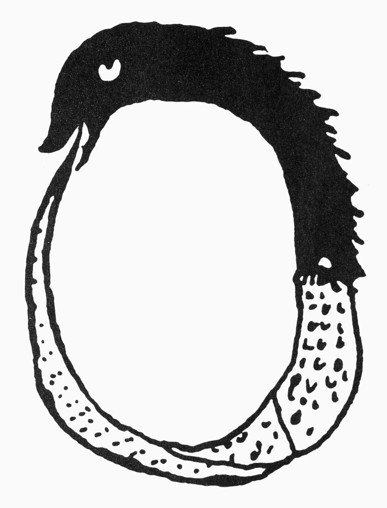 Amazon.com: Ouroboros 11Th Century Nthe Oldest Extant