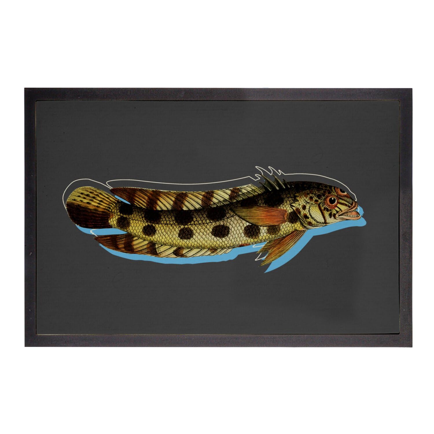 Paillasson poisson amusé noir anti-saleté 60x40cm pour entrée propre et stylée
