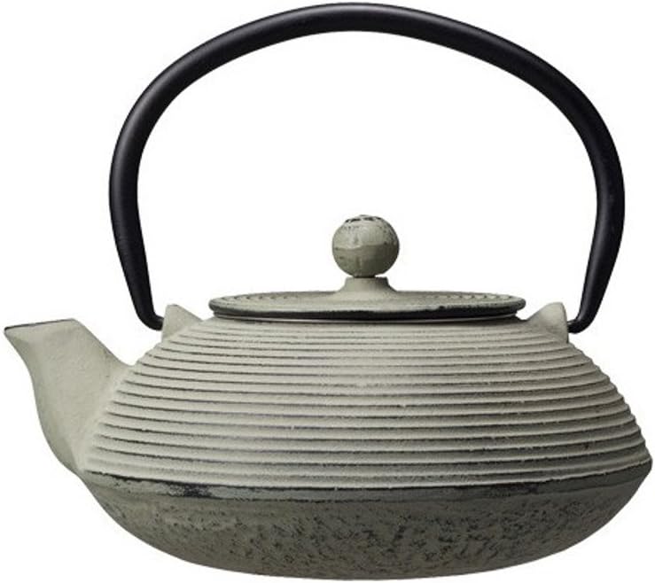 Iron Teapot Wind 16.9fl oz (500ml)
