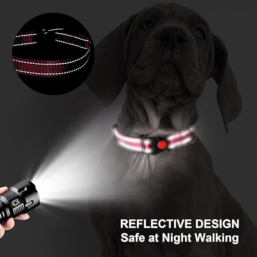 Miniatura 4 de Collar personalizado para perro, reflectante bordado personalizado con nombre de mascota y número de teléfono para perros machos y hembras, 4