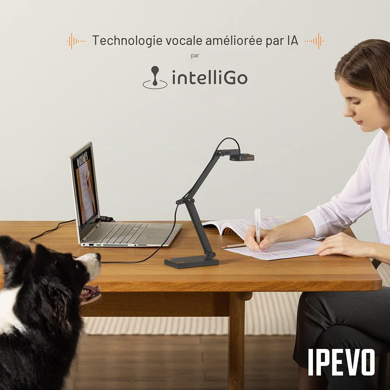 Ipevo V4K Pro Caméra de Documents USB Ultra HD avec Microphone KI pour visualisation en Salle de Classe, enseignement en Ligne, Apprentissage à la Maison, Streaming avec réduction du Bruit Gris Ardoise