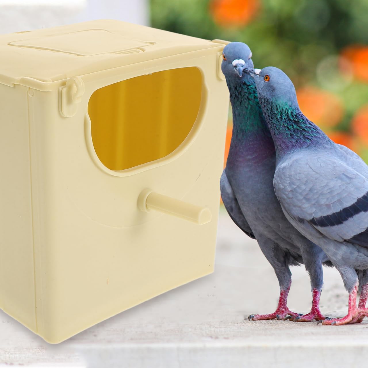 Happyyami Nichoir À Oiseaux Suspendu en Plastique 3 Pièces Boîte D'Élevage pour Perruches Calopsittes Conures Jardin Maison