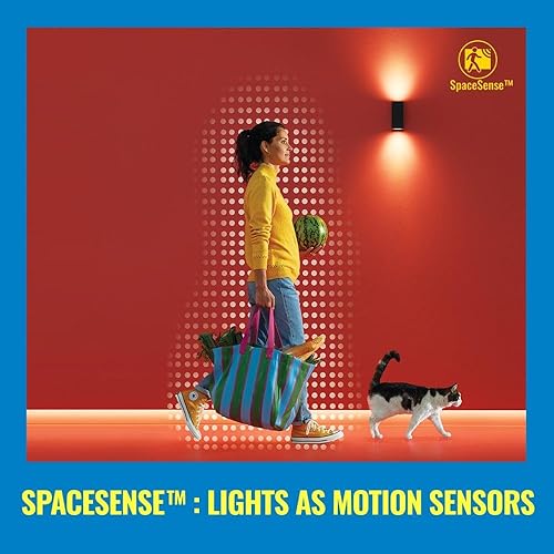 Miniatura 6 de WiZ Clear ST19 - Bombilla inteligente LED de filamento blanco sintonizable de 60 W, paquete de 6, E26, para interiores, se conecta a tu Wi-Fi