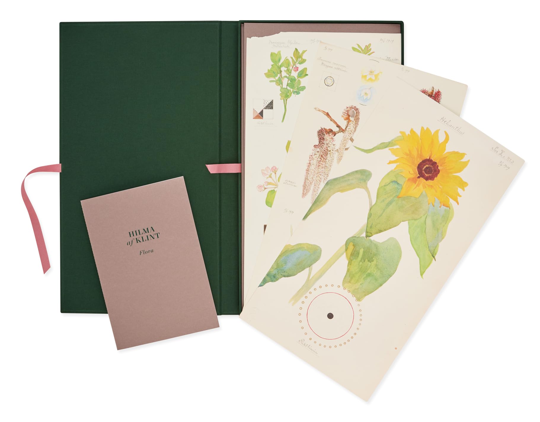 Hilma af Klint: Flora