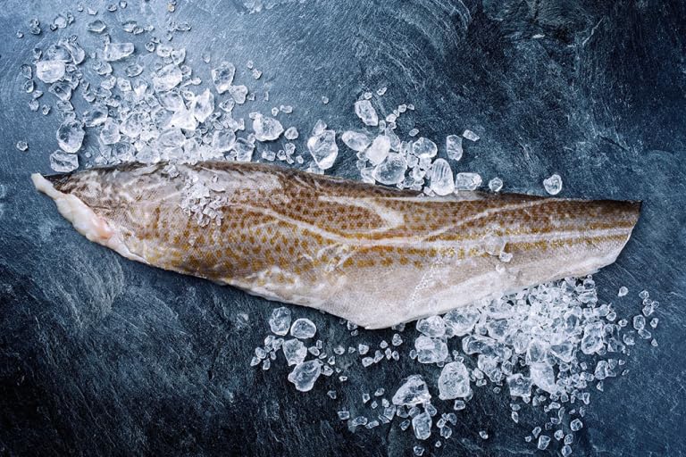 Kabeljaufilet | Kabeljaufilet mit Haut | 500g küchenfertig | Gekühlter Versand | TOP FRISCH