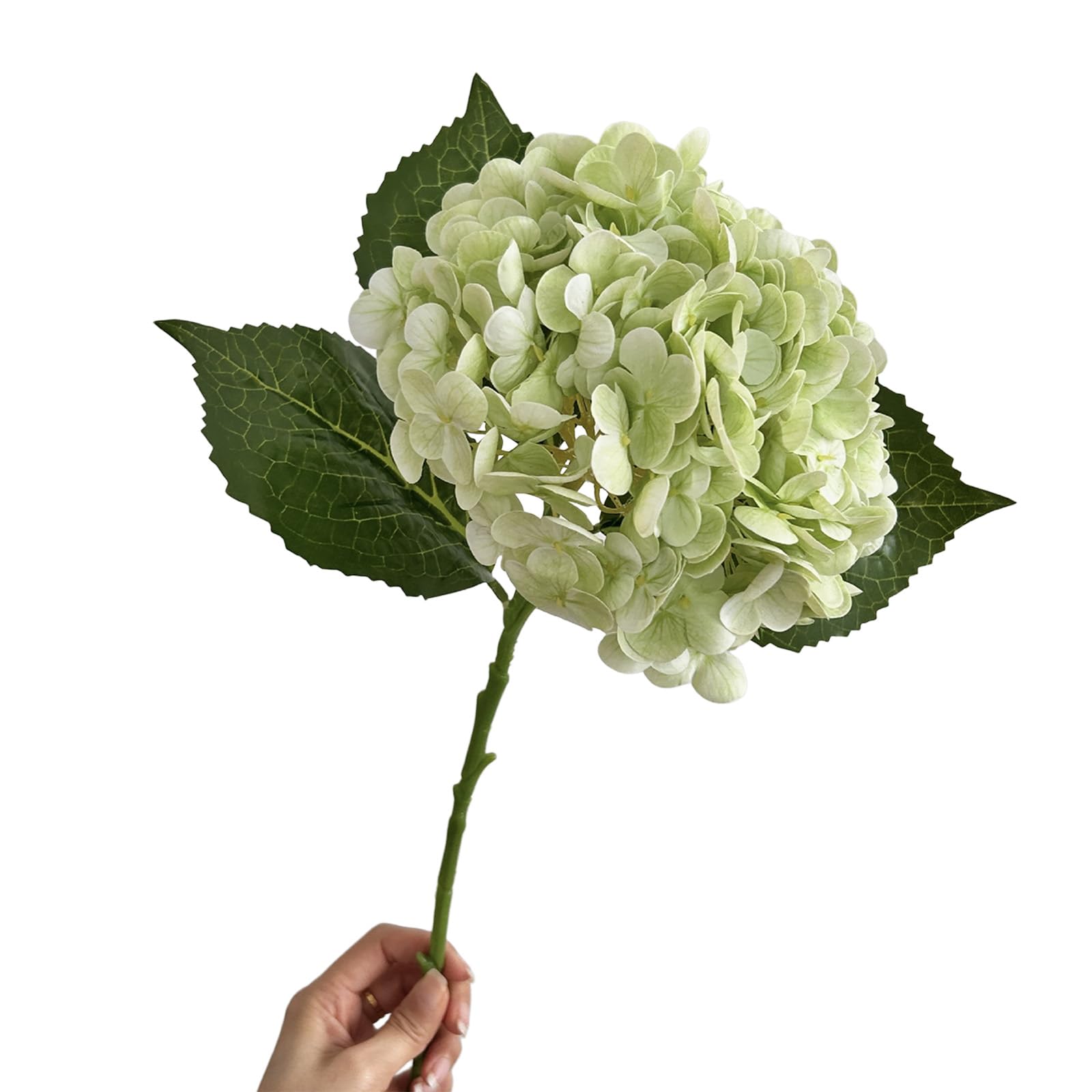 ZBIianxer Realistic Simulation Silk Hortensia Flower Fade Resistant Artificial Flower for Wedding Tabletop Centerpieces Simple Faux