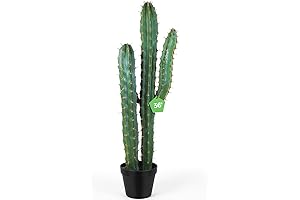 Jexine 36 Inch Artificial Cactus - Premium Consuela the Cactus Faux Plants