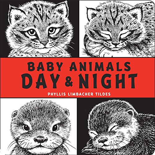Image of Baby Animals Day & Night