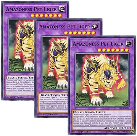 Yu-Gi-Oh! y3 Pieces setz English Version CIBR-EN 094 Amazoness Pet Liger Amazonazon pet Tiger Lion (Normal) 1st Edition