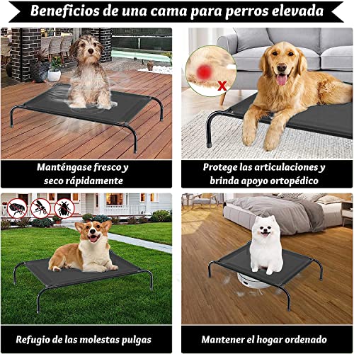 Mascotas, Pet Products Imagen adicional