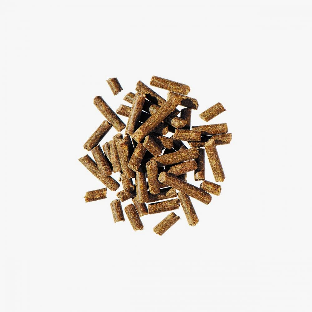 AGROBS Bierhefe PUR 10kg Getreide- und Melassefrei