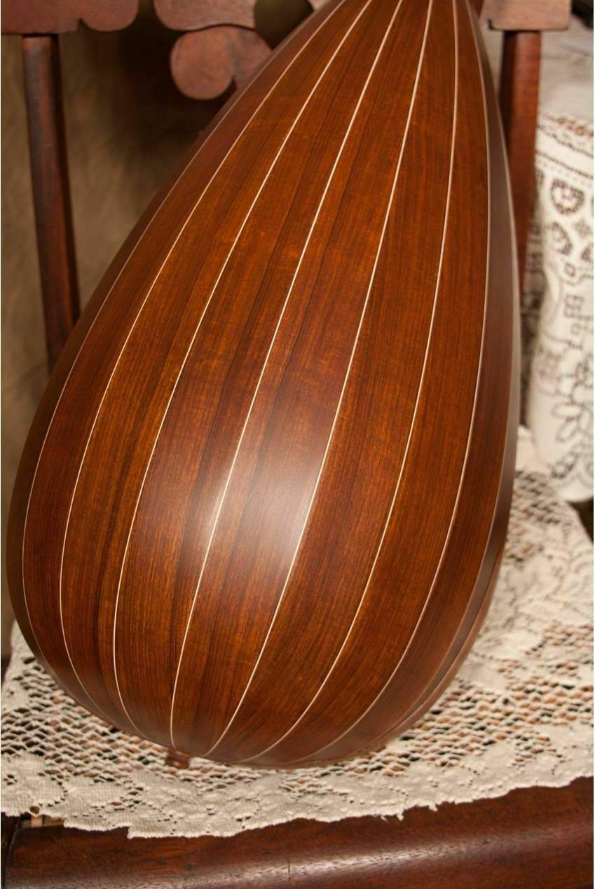 Includes: Roosebeck 8-course Travel Lute W/Padded Gig Bag + Snark Clip-on Chromatic Tuner - Image 5