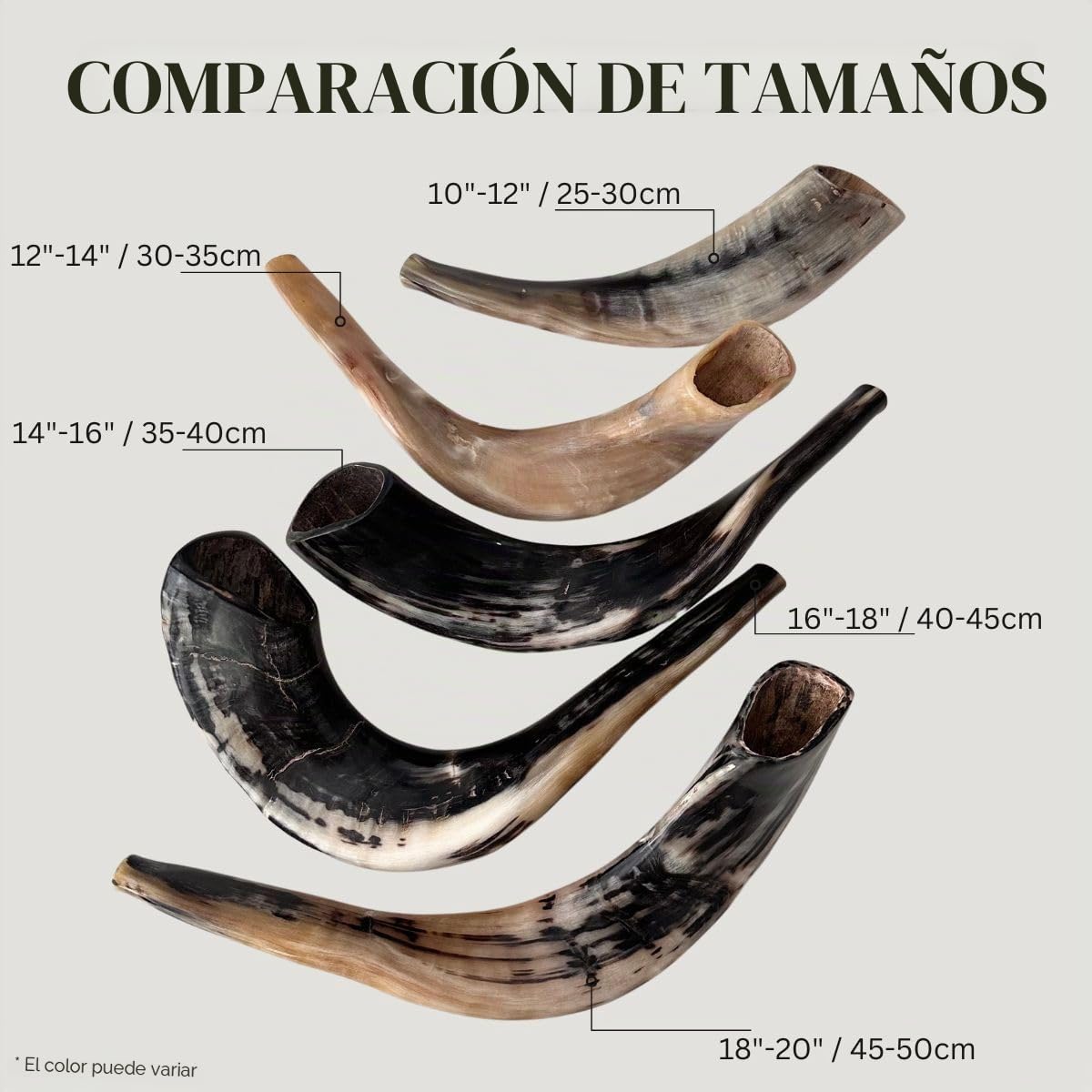 Shofar: Shofar auténtico y kosher pulido de cuerno de carnero de Israel (30,5 - 35,6 cm)