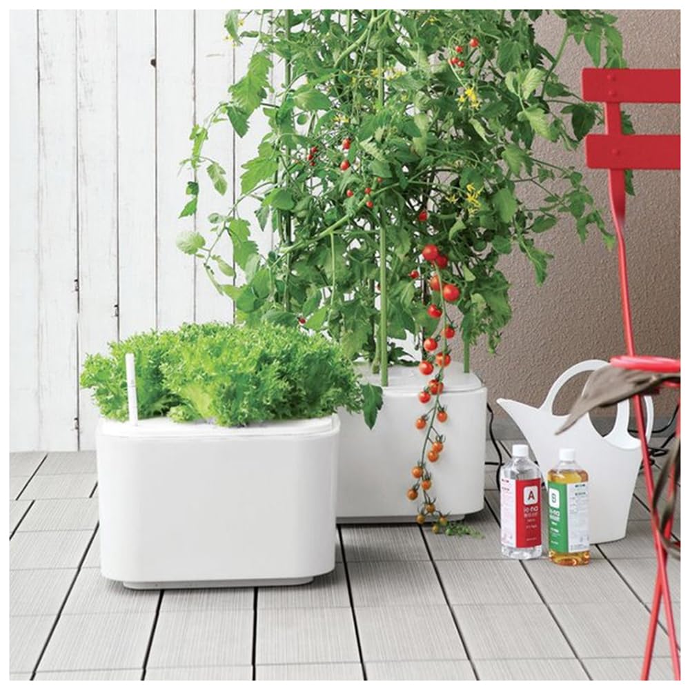 Amazon.co.jp: 協和(Kyowa) 水耕栽培キット ホームハイポニカ MASUCO