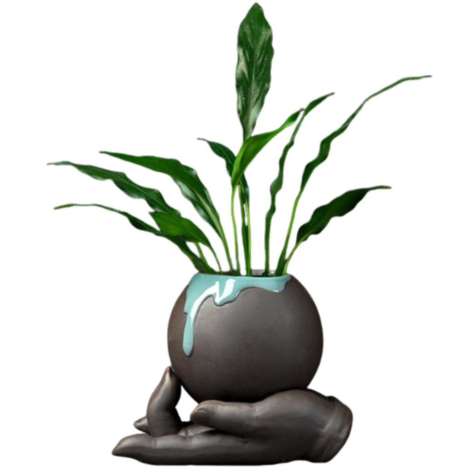 Jardinière hydroponique en céramique pour un entretien facile