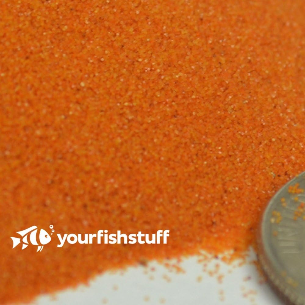 VPoint Decapsulated Brine Shrimp Eggs (Artemia Cysts) (4 oz.)