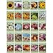 Set of 25 Flower Seed Packets Including 10 Or More Varieties Forget Me Nots, Pinks, Marigolds, Zinnia, Wildflower, Poppy, Snapdragon and More