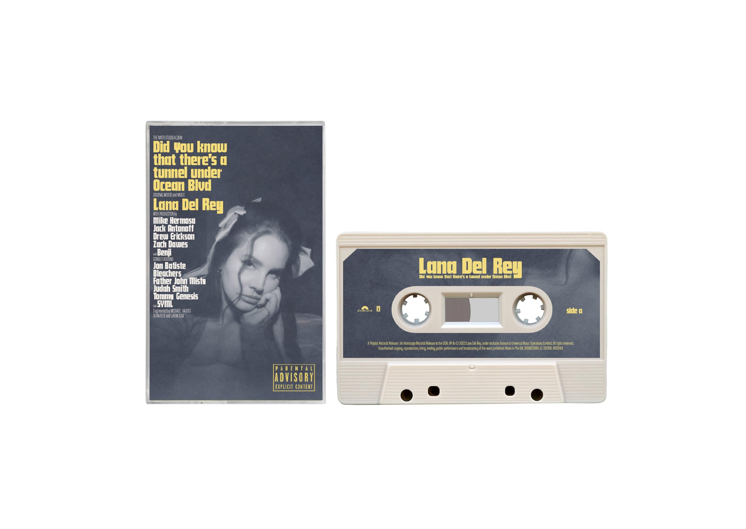 Did You Know That (Ltd. CD Alt Cover 3)
