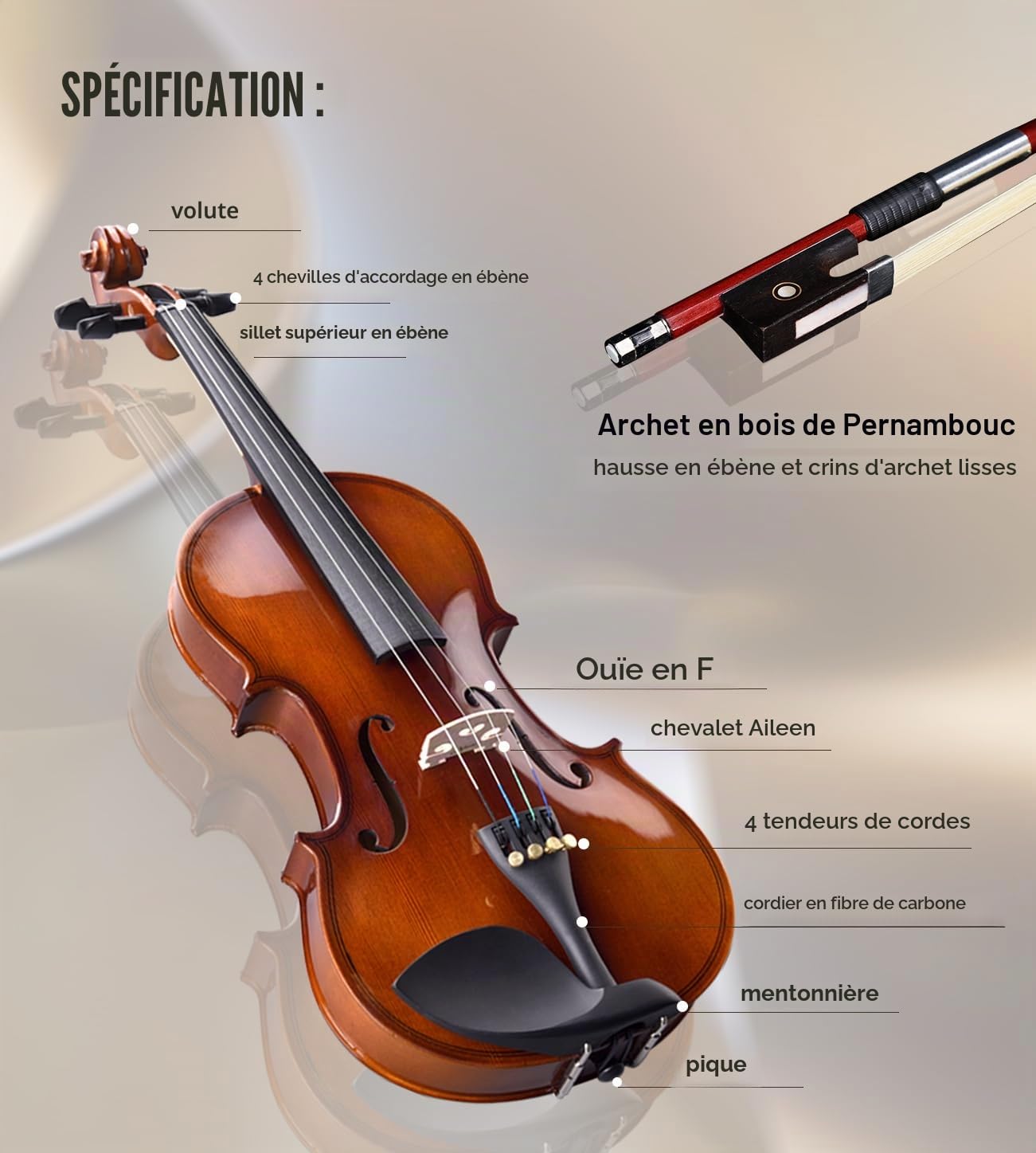 Violon 4/4 Adulte Aileen, Violon Débutant Aspect Antique Brillant