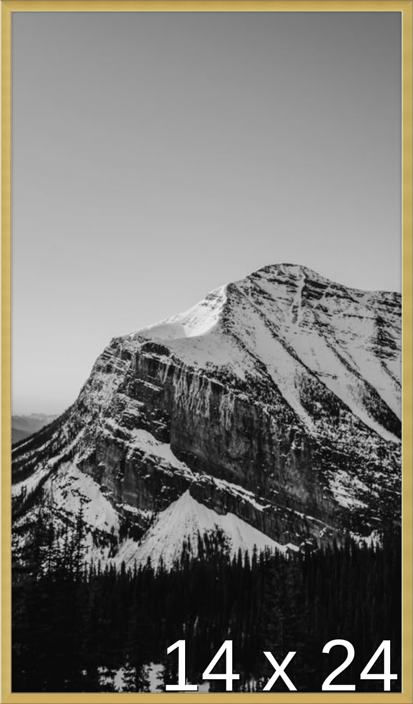 Frame It Easy 14 x 24 Gloss Gold Metal Frame (Ashford)