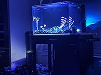 Review Image by Dr. Chetan Sawhney Reviews Dr. Chetan Sawhney Reviews