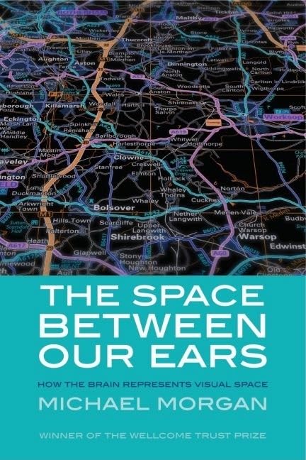 The Space between Our Ears: How the Brain Represents Visual Space
