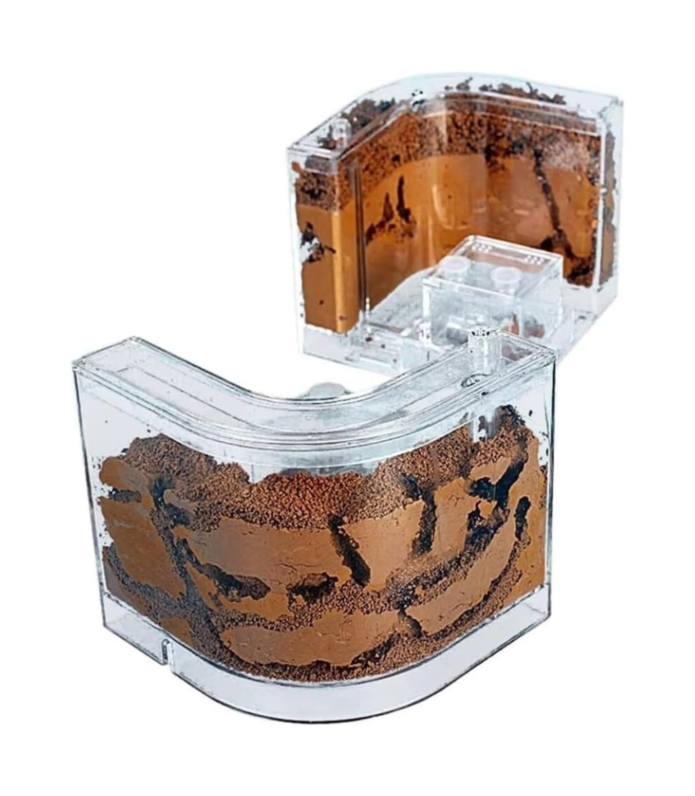 Acrylic Ant Castle