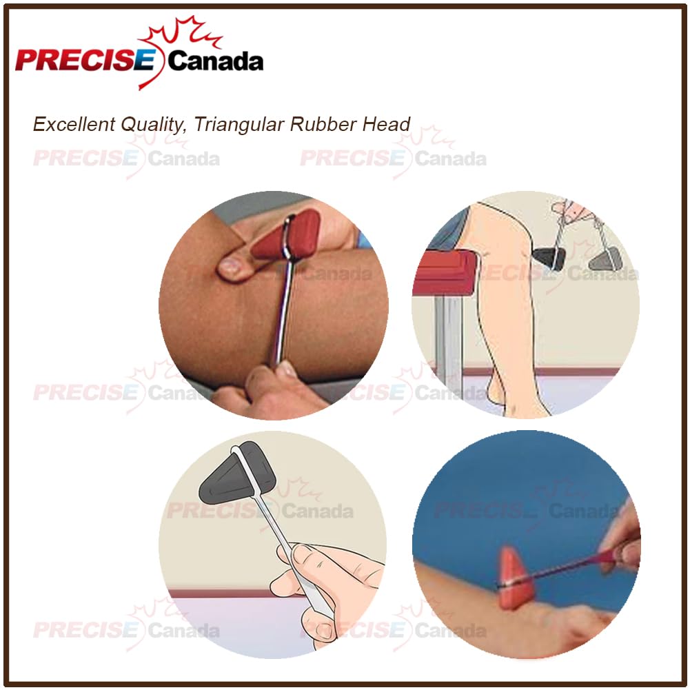 PRECISE CANADA Taylor Percussion Hammer with Black Head Plastic Handle Blue Color 7-1/2