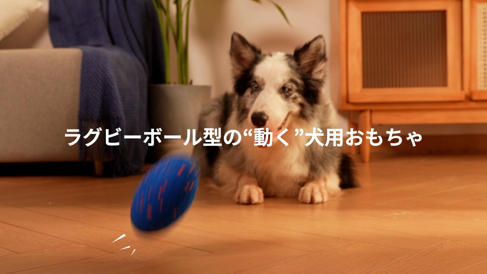 Amazon | Hoochii × Cheerble 犬自動ボール【2025新型登場】3モード