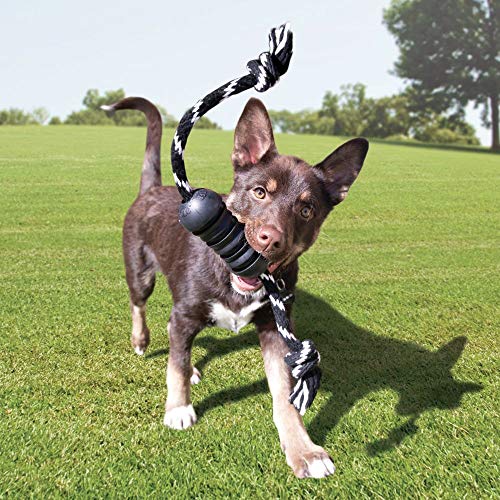 KONG Extreme Dental Hundespielzeug - Kauspielzeug aus Naturkautschuk für die Zahnpflege - Reinigt Zähne und Zahnfleisch - Für große Hunde