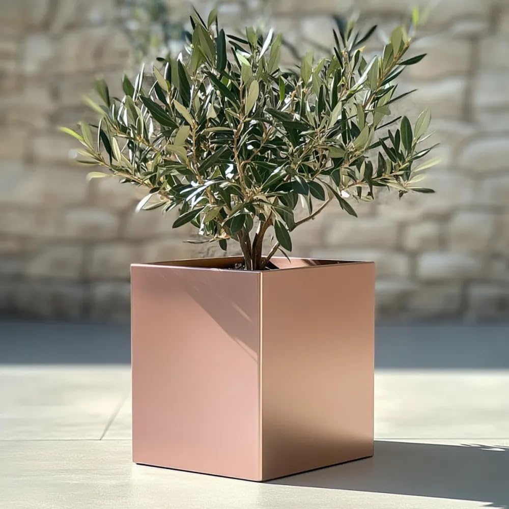 Tulipy Rose Gold 60Cm/50Cm/40Cm/30Cm Zinc Galvanised Square Planter | No Assembly Needed | Lightweight (, L50cm X W50cm X H50cm)