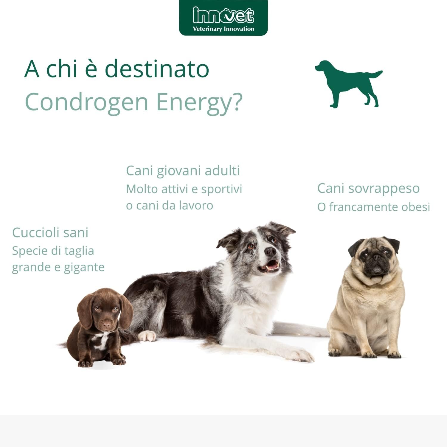 Innovet, Condrogen Energy, per Articolazioni dei Cani, Ideale per Cuccioli e Cani Attivi, con Glucosamina e Condroitin, 90 Compresse Masticabili
