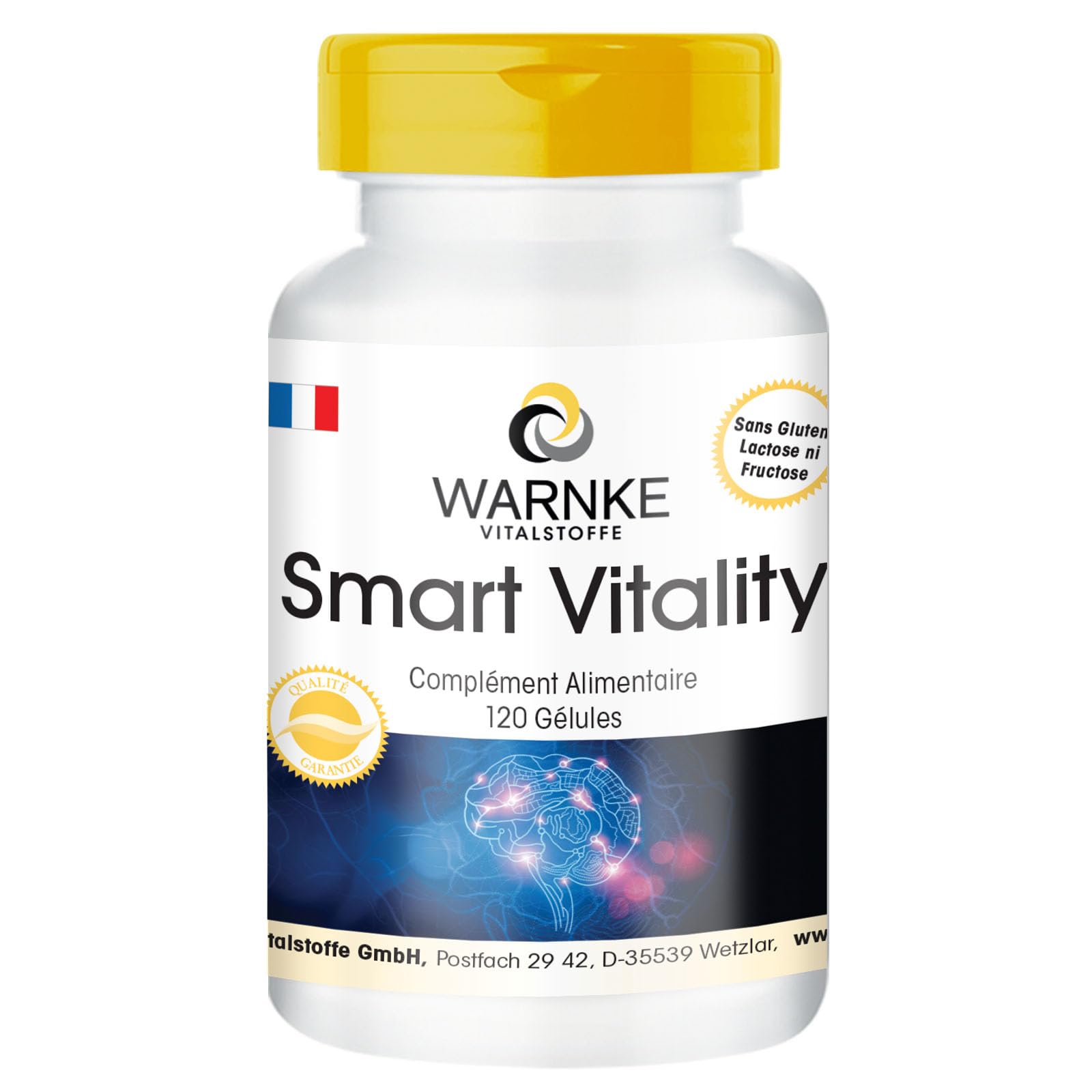 Smart Vitality - Complexe avec acide folique, taurine, Bacopa Monnieri, lycopode, phospholipide & Q10-120 gélules - fortement dosé - vegan | Warnke Vitalstoffe - Qualité des pharmacies allemandes